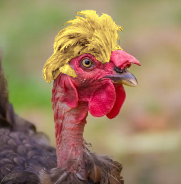 taco the chicken Blank Meme Template