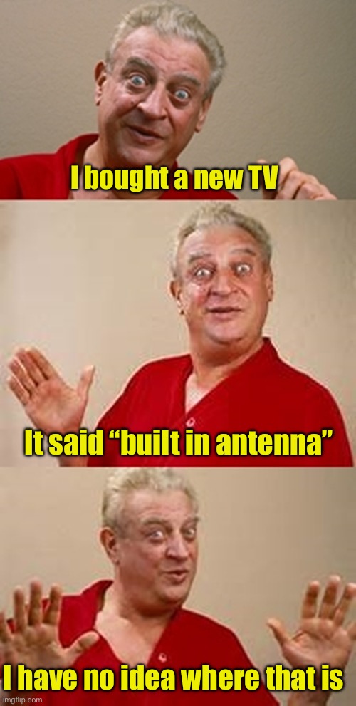 At least it’s not built in China | I bought a new TV; It said “built in antenna”; I have no idea where that is | image tagged in bad pun dangerfield | made w/ Imgflip meme maker
