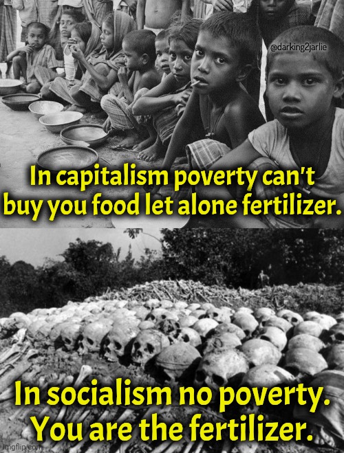 Let's eliminate poverty comrades! | @darking2jarlie; In capitalism poverty can't buy you food let alone fertilizer. In socialism no poverty. You are the fertilizer. | image tagged in capitalism,socialism,communism,genocide,dark humor | made w/ Imgflip meme maker