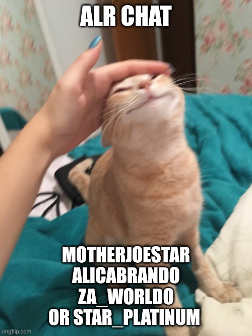 Chose one plz | ALR CHAT; MOTHERJOESTAR
ALICABRANDO
ZA_WORLDO
OR STAR_PLATINUM | image tagged in cat pat | made w/ Imgflip meme maker