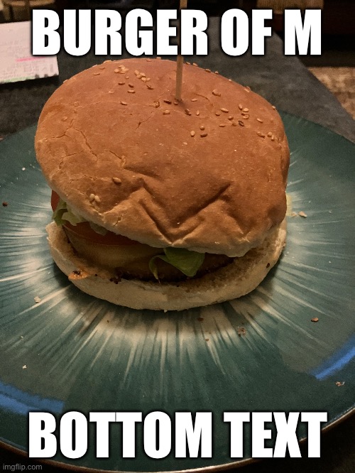 BURGER OF M; BOTTOM TEXT | image tagged in no tags | made w/ Imgflip meme maker
