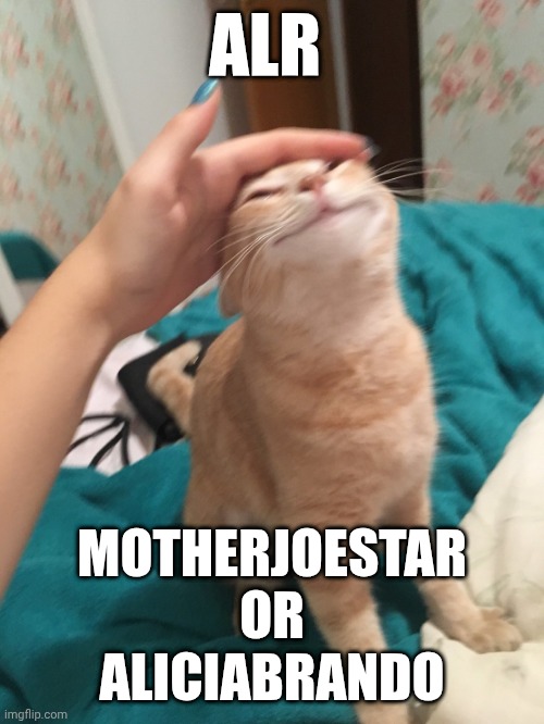 No mommyalicia this time, I'm looking at you, Yakko | ALR; MOTHERJOESTAR
OR
ALICIABRANDO | made w/ Imgflip meme maker