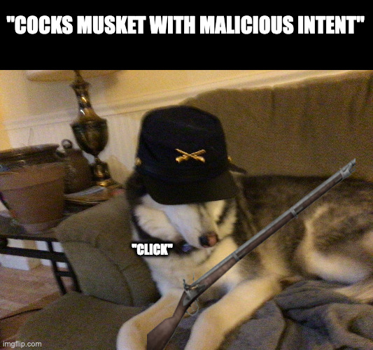 Union Husky | "COCKS MUSKET WITH MALICIOUS INTENT" "CLICK" | image tagged in union husky | made w/ Imgflip meme maker