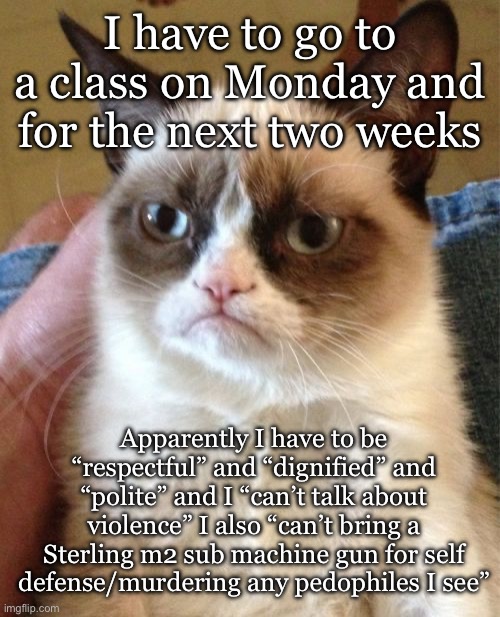 Grumpy Cat | I have to go to a class on Monday and for the next two weeks; Apparently I have to be “respectful” and “dignified” and “polite” and I “can’t talk about violence” I also “can’t bring a Sterling m2 sub machine gun for self defense/murdering any pedophiles I see” | image tagged in memes,grumpy cat | made w/ Imgflip meme maker