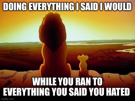 Facts | DOING EVERYTHING I SAID I WOULD; WHILE YOU RAN TO EVERYTHING YOU SAID YOU HATED | image tagged in memes,lion king | made w/ Imgflip meme maker