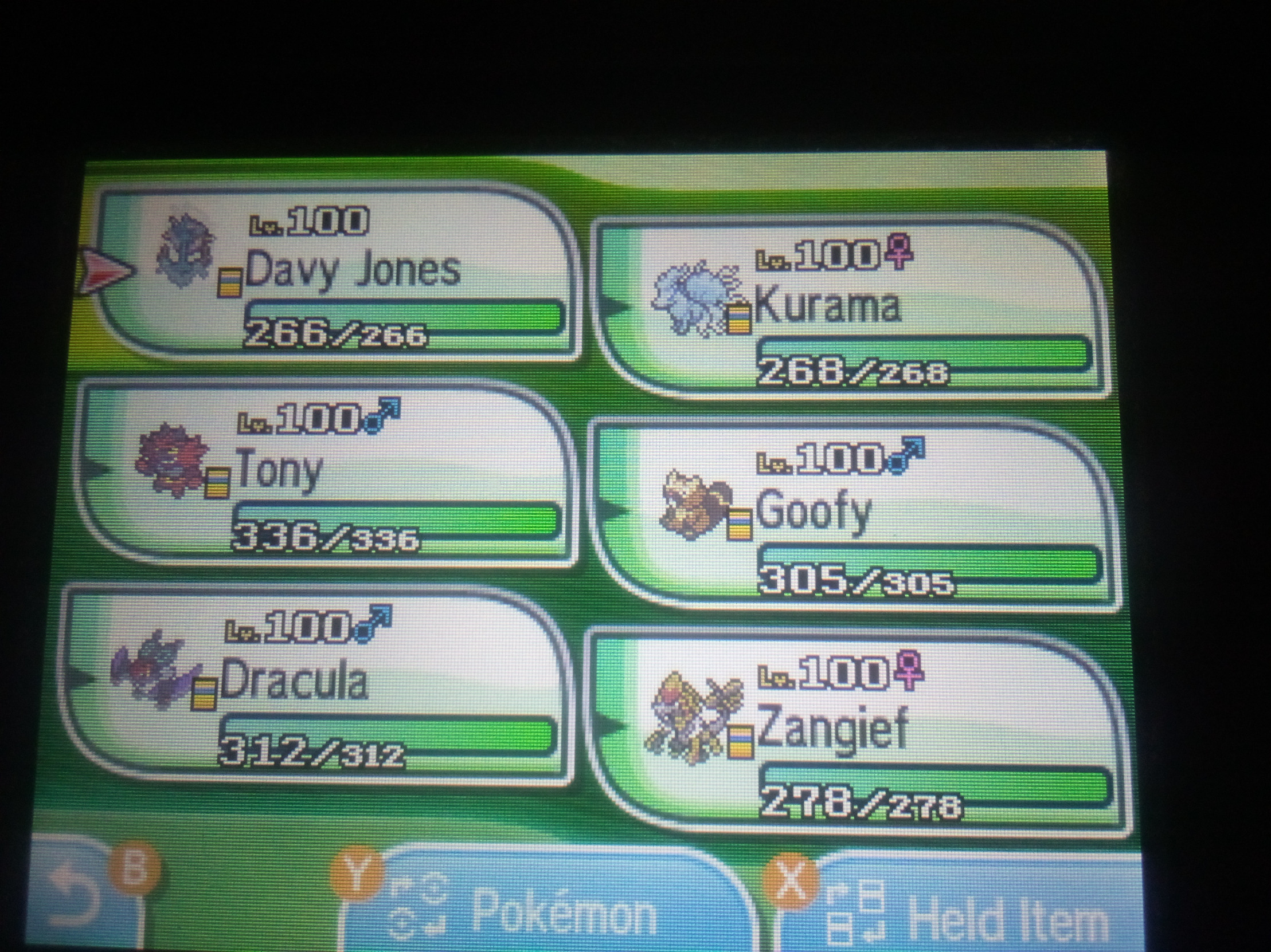 pokemon moon team Blank Meme Template