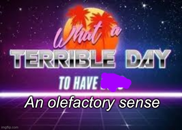 what a terrible day to have eyes | An olefactory sense | image tagged in what a terrible day to have eyes | made w/ Imgflip meme maker