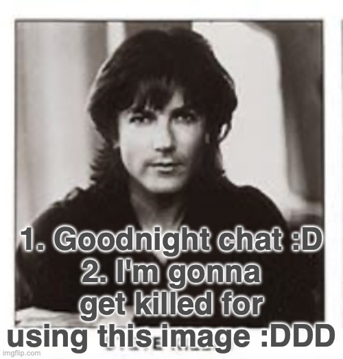 Byeeeee | 1. Goodnight chat :D
2. I'm gonna get killed for using this image :DDD | image tagged in steve kilbey | made w/ Imgflip meme maker