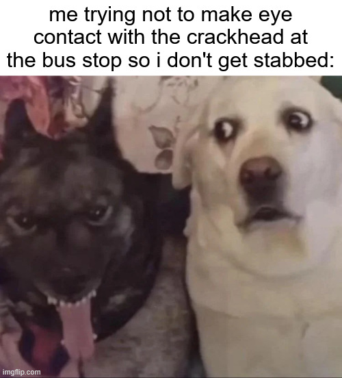 / | me trying not to make eye contact with the crackhead at the bus stop so i don't get stabbed: | made w/ Imgflip meme maker