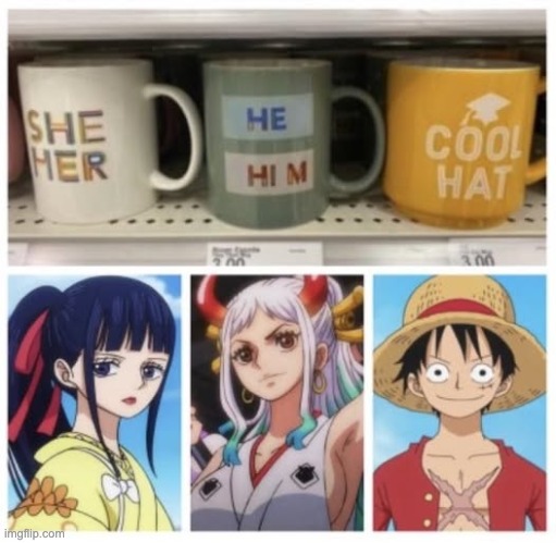 Found this on r/MemePiece | image tagged in one piece,cool hat | made w/ Imgflip meme maker