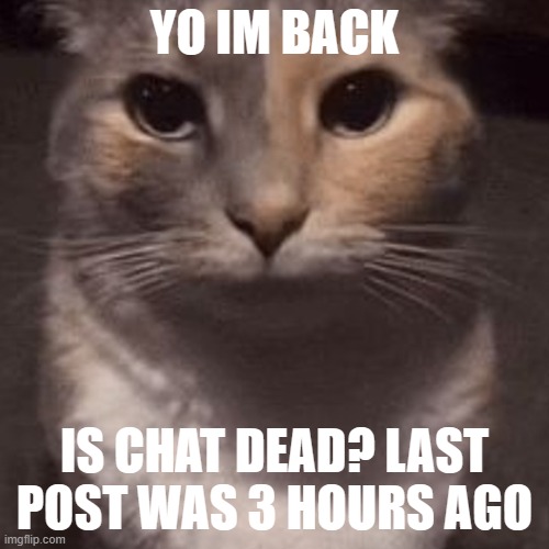 heya kid je suis le sans de topic | YO IM BACK; IS CHAT DEAD? LAST POST WAS 3 HOURS AGO | image tagged in undertale,heya kid je suis le sans de topic | made w/ Imgflip meme maker