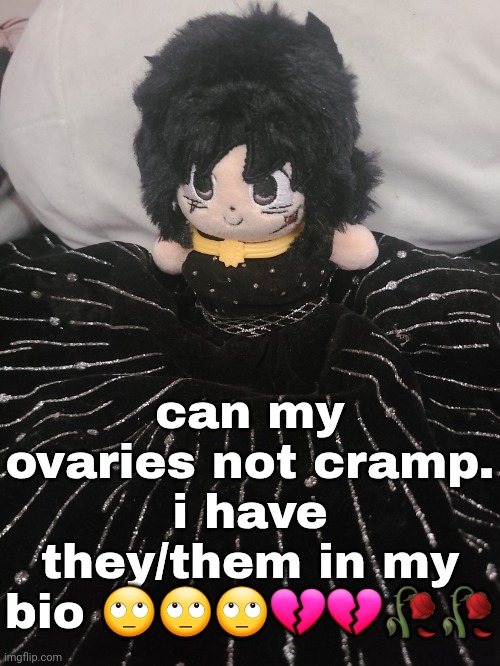 satire if you illiterate nincompoops couldnt tell | can my ovaries not cramp. i have they/them in my bio 🙄🙄🙄💔💔🥀🥀 | image tagged in me if u even care | made w/ Imgflip meme maker