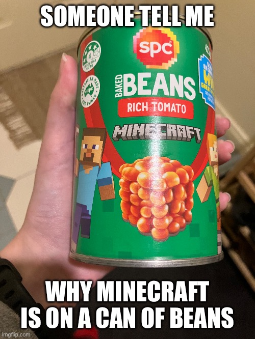 SOMEONE TELL ME; WHY MINECRAFT IS ON A CAN OF BEANS | image tagged in no tags | made w/ Imgflip meme maker