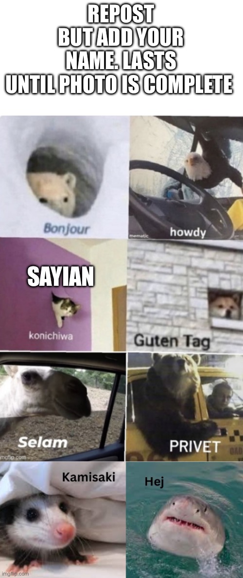 Bonjour howdy konichiwa guten tag Selam privet Kamisaki hej | REPOST BUT ADD YOUR NAME. LASTS UNTIL PHOTO IS COMPLETE; SAYIAN | image tagged in bonjour howdy konichiwa guten tag selam privet kamisaki hej | made w/ Imgflip meme maker