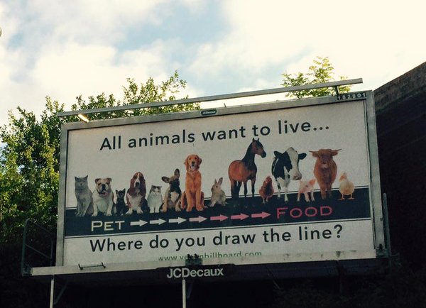 PETA where do you draw the line? Blank Meme Template