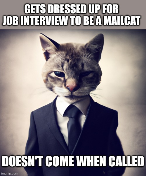 sad cat dressed in buisness suit | GETS DRESSED UP FOR JOB INTERVIEW TO BE A MAILCAT DOESN'T COME WHEN CALLED | image tagged in sad cat dressed in buisness suit | made w/ Imgflip meme maker