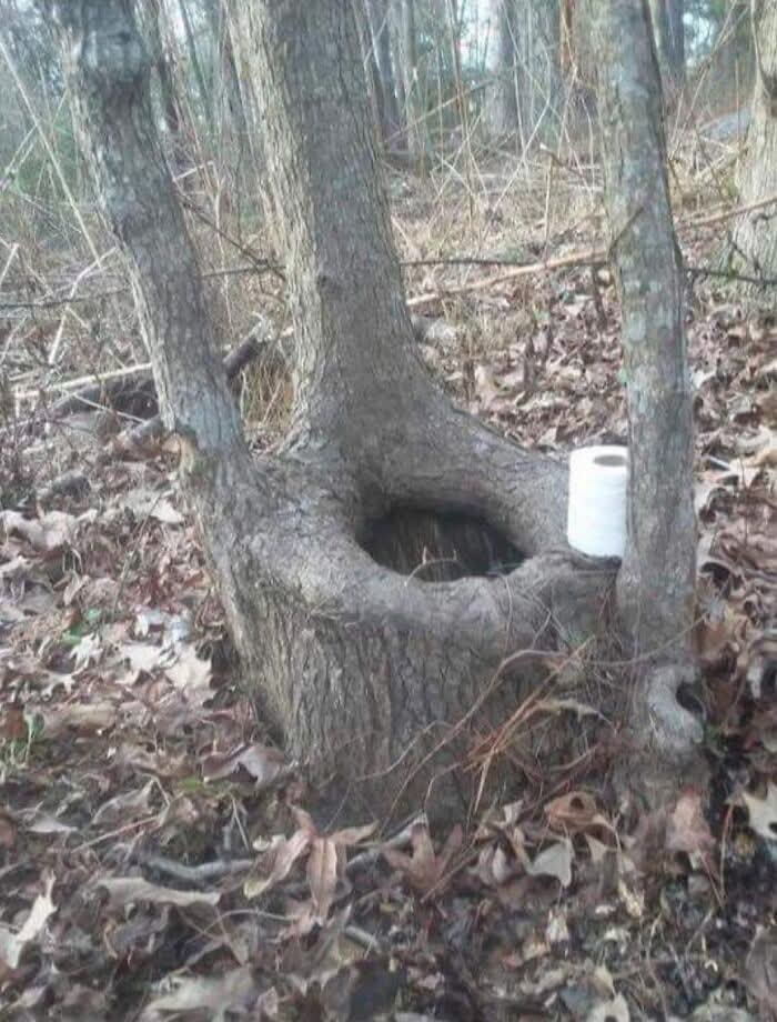 Toilet Tree Blank Meme Template