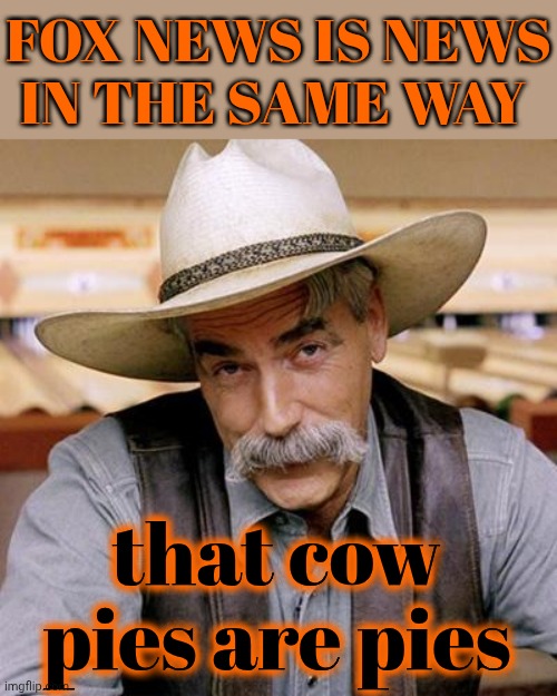 Cow Pies | FOX NEWS IS NEWS
IN THE SAME WAY; that cow pies are pies | image tagged in fox lies,sneaky fox,fox news is not news,wake up,memes,maga | made w/ Imgflip meme maker