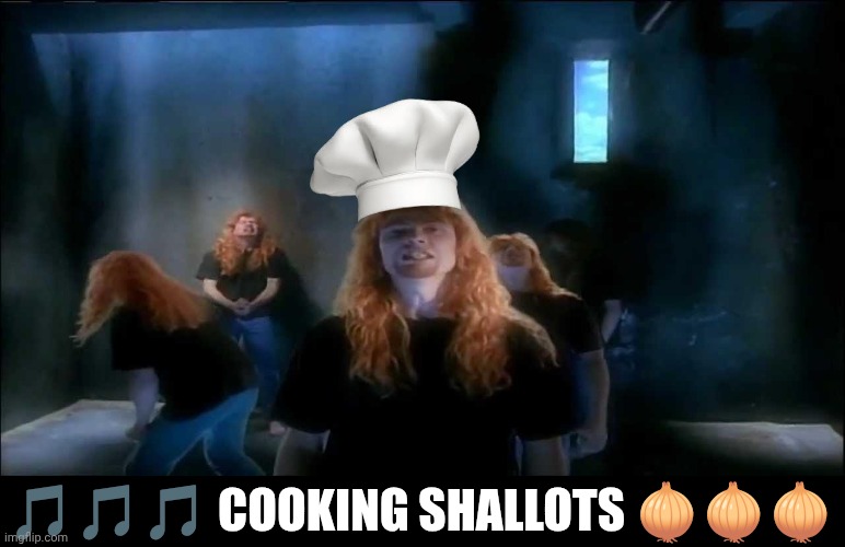 Hungry me | 🎵🎵🎵 COOKING SHALLOTS 🧅🧅🧅 | image tagged in megadeth,sweating bullets,parody,cooking,heavy metal | made w/ Imgflip meme maker