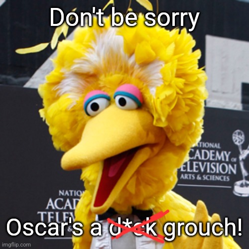 Big Bird Meme | Don't be sorry Oscar's a d*ck grouch! | image tagged in memes,big bird | made w/ Imgflip meme maker