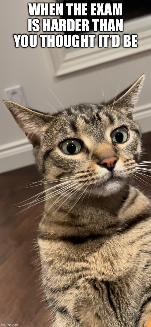 When The Exam Is Harder Than You Thought It’d Be | WHEN THE EXAM IS HARDER THAN YOU THOUGHT IT’D BE | image tagged in fun,relatable,relatable memes,funny,exams,cats | made w/ Imgflip meme maker