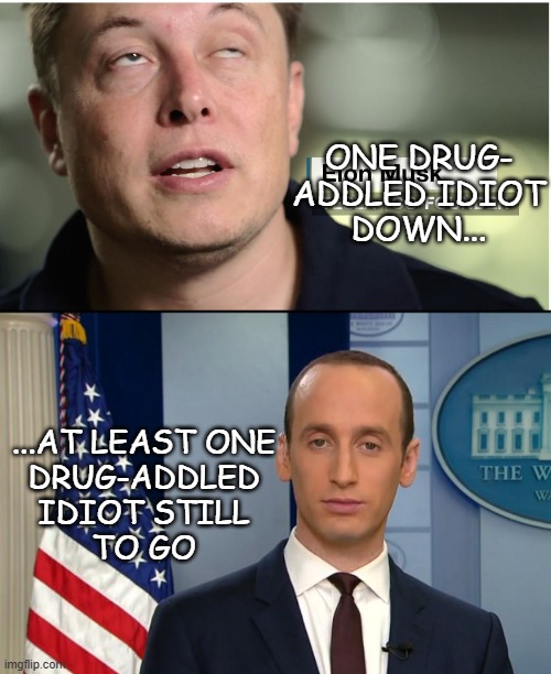 ONE DRUG-
ADDLED IDIOT
DOWN... ...AT LEAST ONE
DRUG-ADDLED
IDIOT STILL
TO GO | image tagged in elon musk,stephen miller feb2017 | made w/ Imgflip meme maker