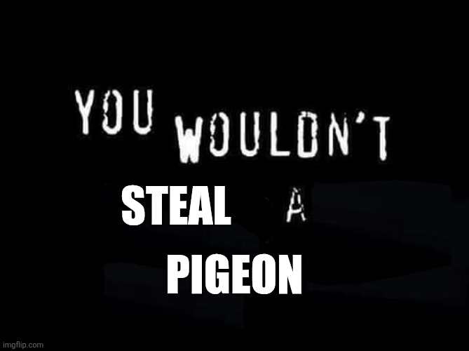 You Wouldn't blank A blank | STEAL PIGEON | image tagged in you wouldn't blank a blank | made w/ Imgflip meme maker
