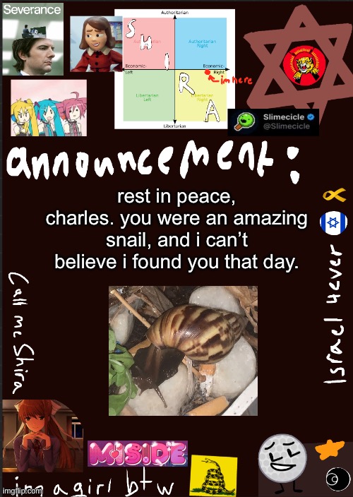 crying | rest in peace, charles. you were an amazing snail, and i can’t believe i found you that day. | image tagged in shira s cool new temp | made w/ Imgflip meme maker