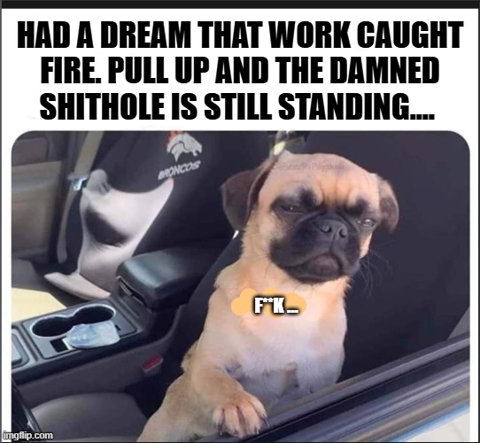 work-dream | HAD A DREAM THAT WORK CAUGHT FIRE. PULL UP AND THE DAMNED SHITHOLE IS STILL STANDING.... F**K ... | image tagged in work sucks | made w/ Imgflip meme maker
