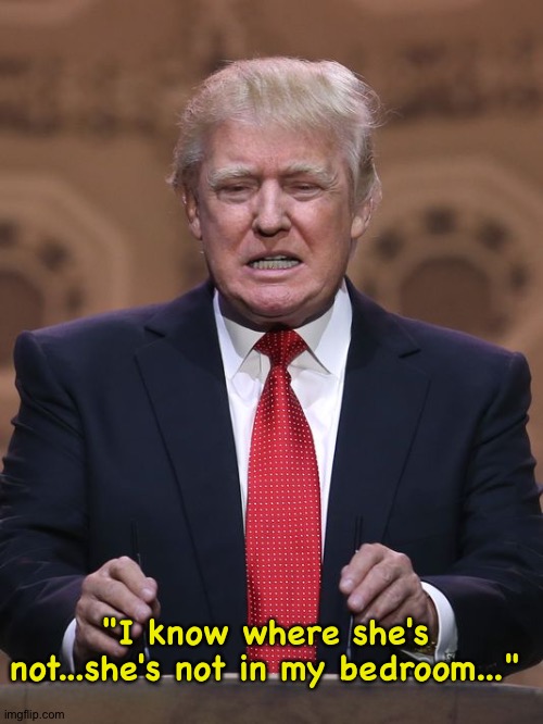 Donald Trump | "I know where she's not...she's not in my bedroom..." | image tagged in donald trump | made w/ Imgflip meme maker