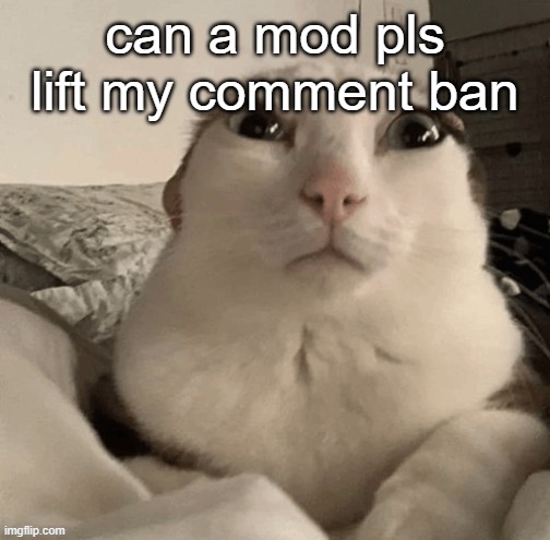 goober | can a mod pls lift my comment ban | image tagged in goober | made w/ Imgflip meme maker