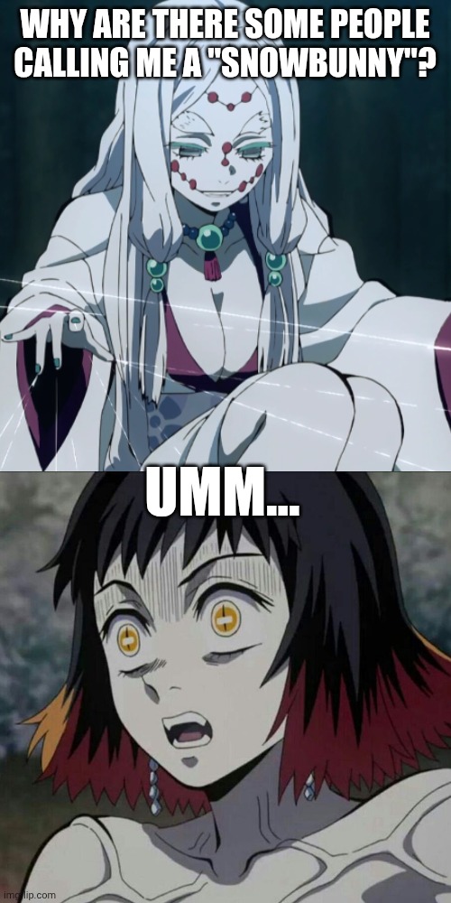 Why Is Mother Spider Demon Being Called A Snowbunny: | WHY ARE THERE SOME PEOPLE CALLING ME A "SNOWBUNNY"? UMM... | image tagged in memes,funny,demon slayer,anime,anime meme | made w/ Imgflip meme maker