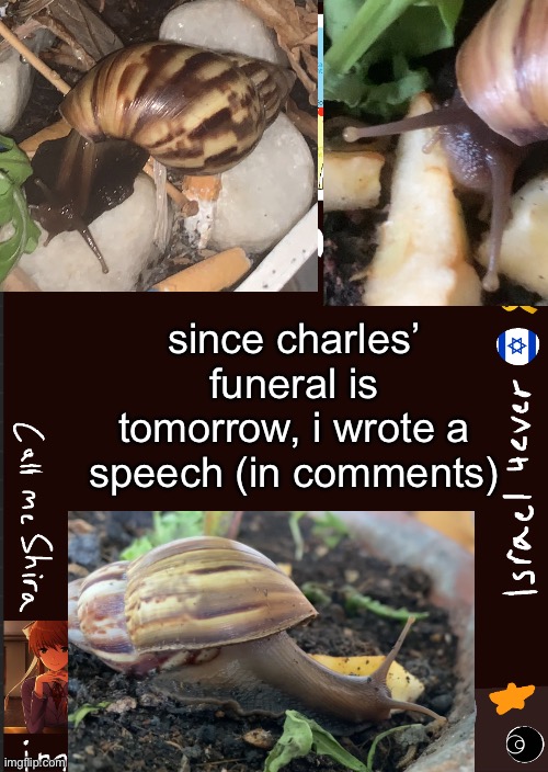 shira’s cool new temp | since charles’ funeral is tomorrow, i wrote a speech (in comments) | image tagged in shira s cool new temp | made w/ Imgflip meme maker