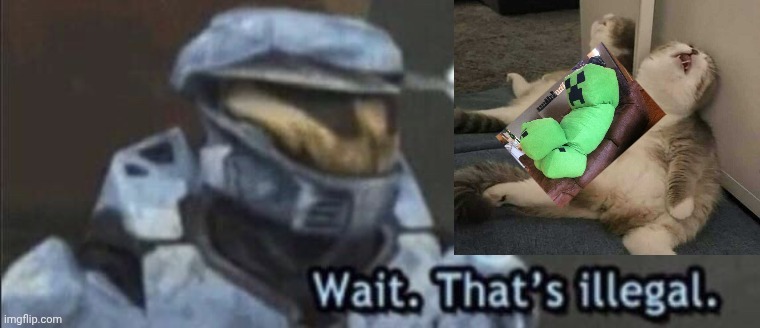 Cat slleping with creeper | image tagged in wait that s illegal | made w/ Imgflip meme maker