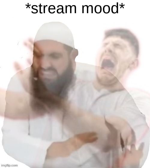 ew brother ew | *stream mood* | image tagged in ew brother ew | made w/ Imgflip meme maker