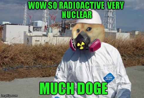 fukushima doge | WOW SO RADIOACTIVEVERY NUCLEAR MUCH DOGE | image tagged in fukushima doge | made w/ Imgflip meme maker