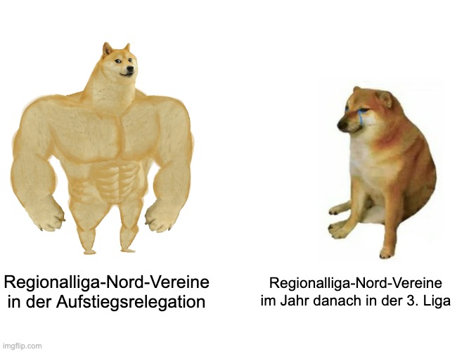 Buff Doge vs. Cheems Meme | Regionalliga-Nord-Vereine in der Aufstiegsrelegation; Regionalliga-Nord-Vereine im Jahr danach in der 3. Liga | image tagged in memes,buff doge vs cheems | made w/ Imgflip meme maker