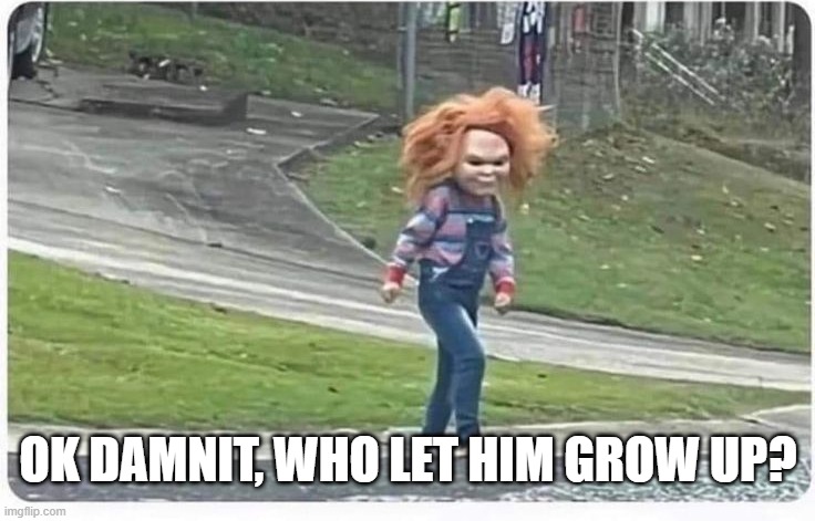 Chucky! | OK DAMNIT, WHO LET HIM GROW UP? | image tagged in dark humor | made w/ Imgflip meme maker