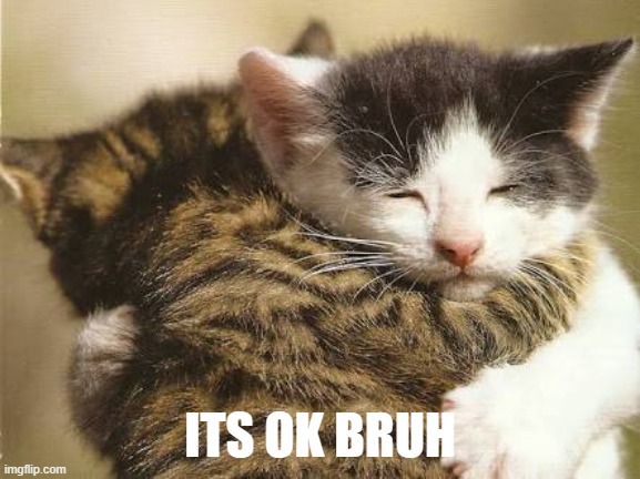 Hug cats | ITS OK BRUH | image tagged in hug cats | made w/ Imgflip meme maker