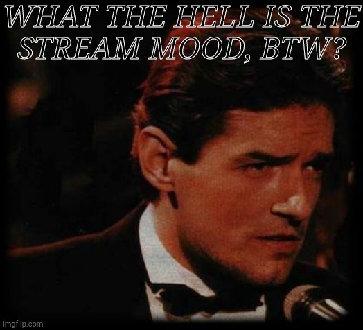 What's The Rest Of The Joke....? | WHAT THE HELL IS THE
STREAM MOOD, BTW? | image tagged in falco confused,stream,mood,bar jokes,to be continued | made w/ Imgflip meme maker