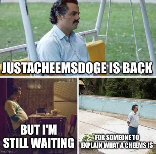 Sad Pablo Escobar | JUSTACHEEMSDOGE IS BACK; BUT I'M STILL WAITING; FOR SOMEONE TO EXPLAIN WHAT A CHEEMS IS | image tagged in memes,sad pablo escobar | made w/ Imgflip meme maker