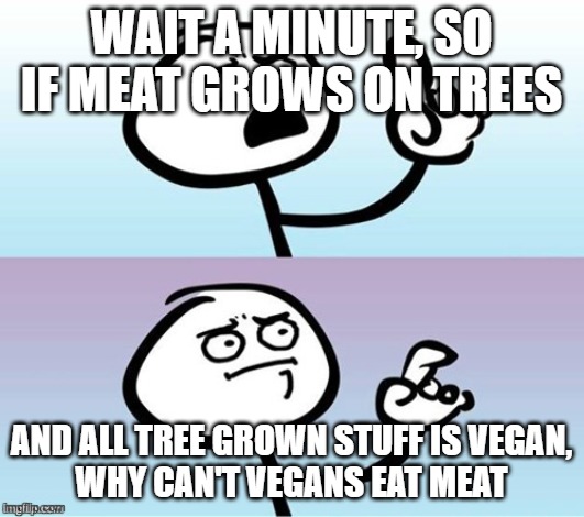 Does anyone know? | WAIT A MINUTE, SO IF MEAT GROWS ON TREES; AND ALL TREE GROWN STUFF IS VEGAN,


WHY CAN'T VEGANS EAT MEAT | image tagged in wait a minute never mind | made w/ Imgflip meme maker