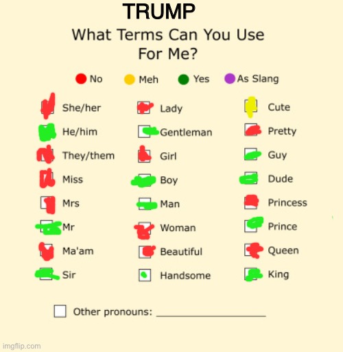 Trump’s gender | TRUMP | image tagged in pronouns sheet | made w/ Imgflip meme maker