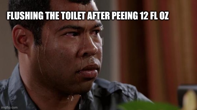 Megaflush | FLUSHING THE TOILET AFTER PEEING 12 FL OZ | image tagged in sweating bullets,flush,potty humor | made w/ Imgflip meme maker