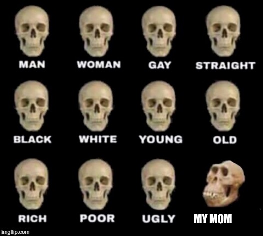 Satire | MY MOM | image tagged in idiot skull | made w/ Imgflip meme maker
