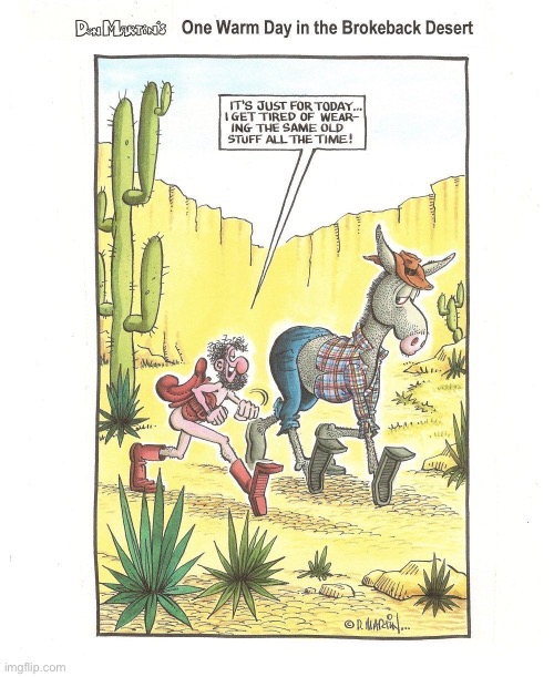 image tagged in comics,mad magazine,clothes swap,horse,saddle | made w/ Imgflip meme maker