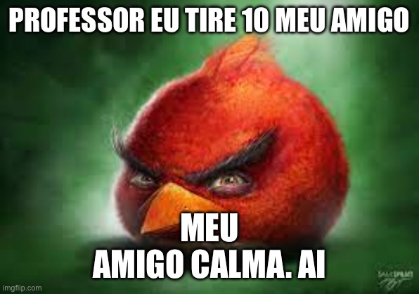 Realistic Red Angry Birds | PROFESSOR EU TIRE 10 MEU AMIGO; MEU
AMIGO CALMA. AI | image tagged in realistic red angry birds | made w/ Imgflip meme maker