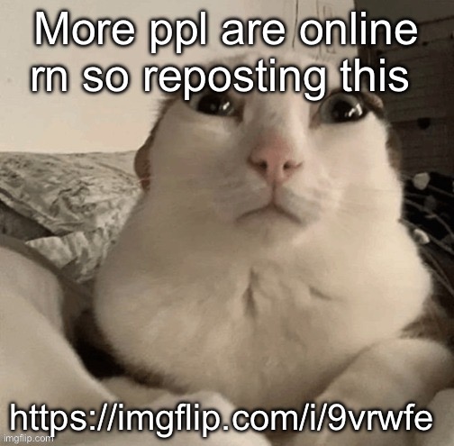 goober | More ppl are online rn so reposting this; https://imgflip.com/i/9vrwfe | image tagged in goober | made w/ Imgflip meme maker