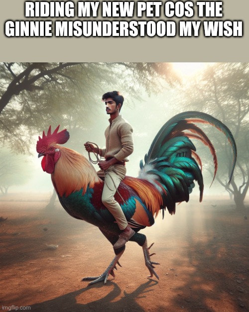 not a rooster! not literally | RIDING MY NEW PET COS THE GINNIE MISUNDERSTOOD MY WISH | image tagged in genie,wish | made w/ Imgflip meme maker