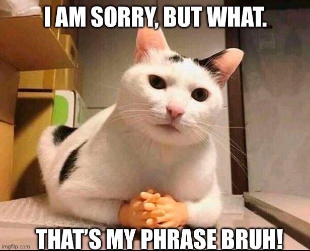 I AM SORRY, BUT WHAT. THAT’S MY PHRASE BRUH! | made w/ Imgflip meme maker